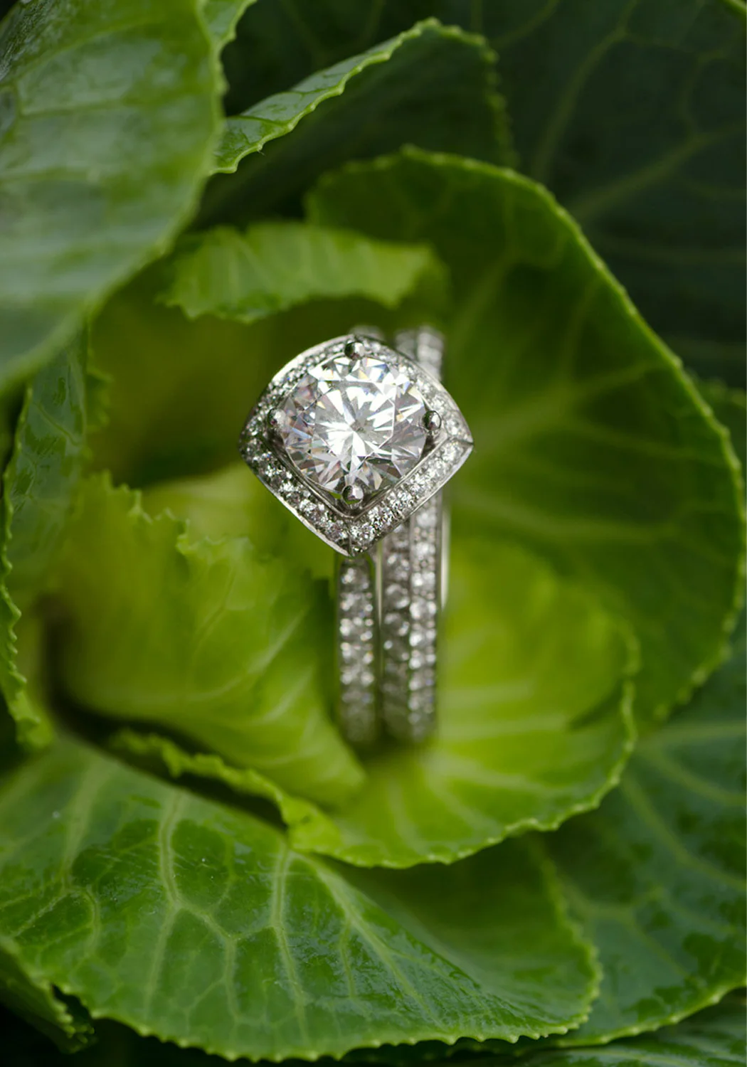 Furrer Jacot Lucienne Platinum Semi-Mount Diamond Ring - Image 4