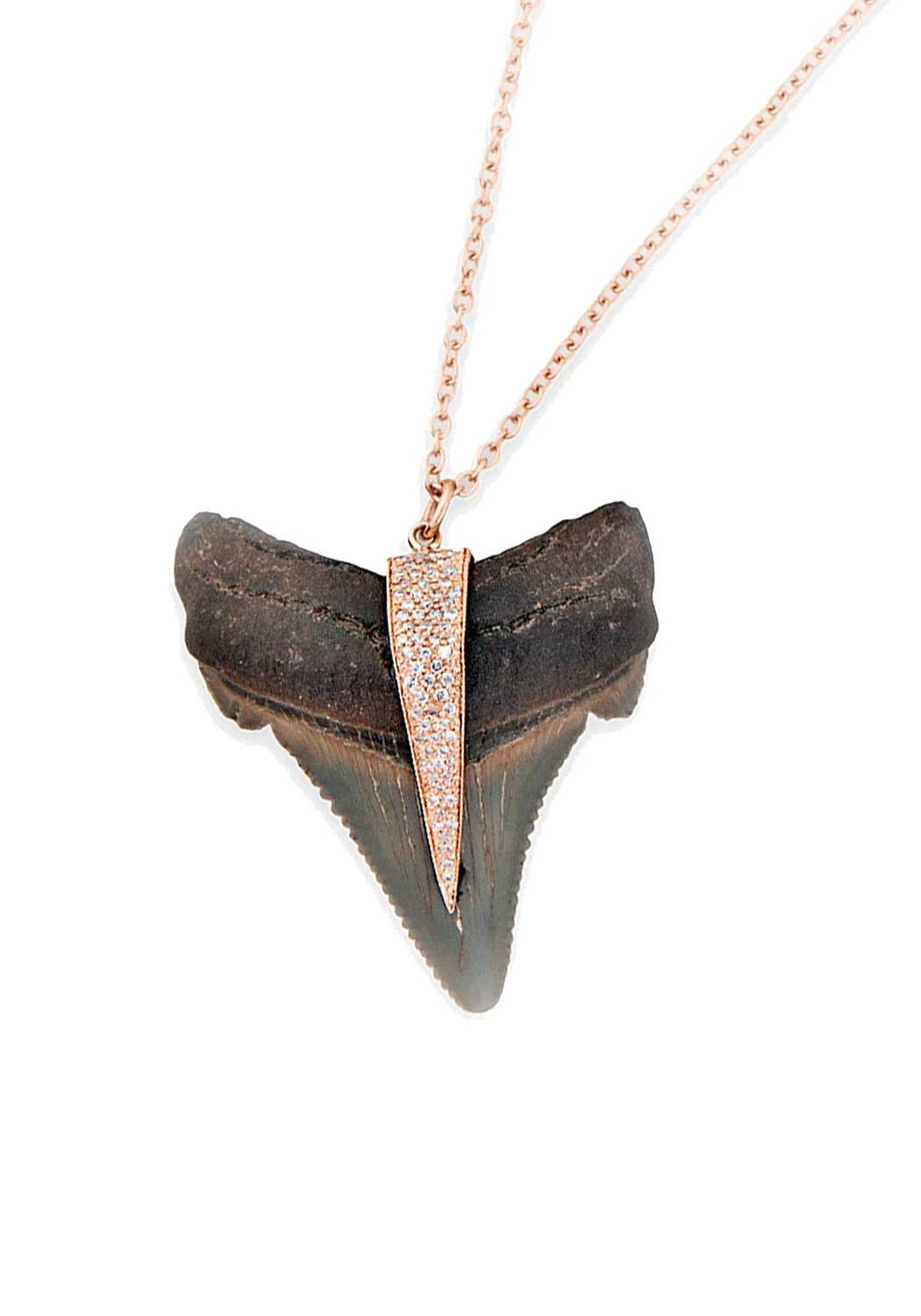 Jacquie Aiche 14KRG Diamond Shark Tooth Pendant on Leather Cord - Image 4
